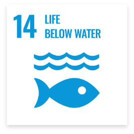 Life below Water
