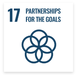 Partnership for the Goals