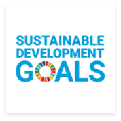 SDG logo